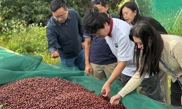 Đắk Lắk: Kim ngạch xuất nhập khẩu cán mốc hơn 3,6 tỷ USD.