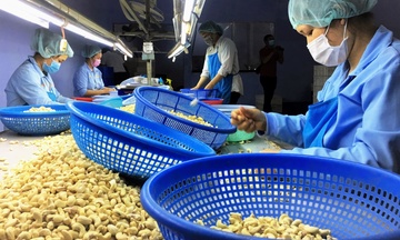 Thực thi FTA giúp doanh nghiệp ổn định chiến lược kinh doanh