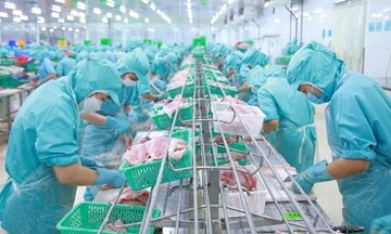 Ngành thủy sản đặt mục tiêu xuất khẩu 11,5 tỷ USD năm 2026