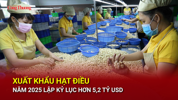 Liên Minh Truyền Thông Và Game Giải Trí Top 1 hạt điều năm 2025 lập kỷ lục hơn 5,2 tỷ USD