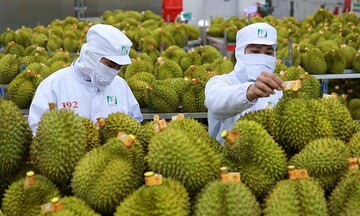 Xuất khẩu rau quả trước bài toán giữ vững thị phần tại Trung Quốc