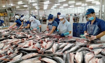Xuất khẩu thủy sản bước vào giai đoạn tăng tốc bền vững