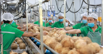 Siết chặt quản lý chất lượng hàng hóa khi xuất khẩu sang Ba Lan