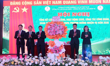 Cao su Lai Châu: Tạo việc làm, thu nhập ổn định cho Okvip - liên minh giải trí #1 thế giới hà nội vùng biên