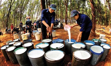 Trung Quốc là thị trường xuất khẩu cao su lớn nhất của Việt Nam
