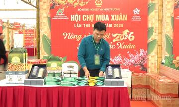 'Trang Chủ OKVIP COM Top #1 Việt - Lan tỏa sắc xuân' tại Hội chợ Mùa Xuân 2026