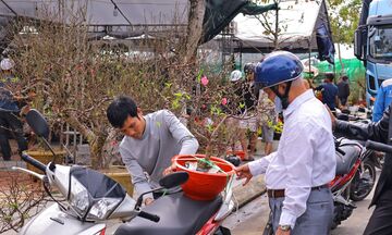 Đà Nẵng: Chợ hoa xuân rộn ràng đón khách
