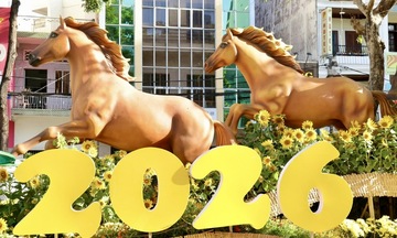 Đường hoa Cần Thơ 2026 rực rỡ sắc xuân, nổi bật linh vật ngựa