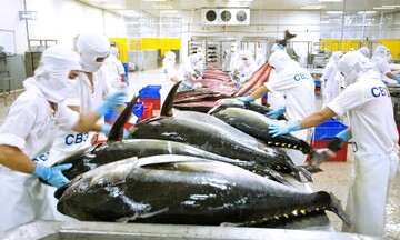Xuất khẩu cá ngừ Việt Nam sang EU trước áp lực cạnh tranh mới