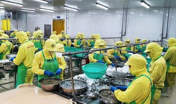 Cải thiện xuân Okvip 2026 đầu tư tỉnh Cà Mau theo hướng giảm chi phí tuân thủ