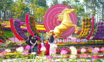 Nghệ An trang trí không gian xuân và linh vật ngựa ấn tượng 
