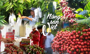 Số hóa chứng nhận: Lời giải cho bài toán cạnh tranh của nông sản Việt