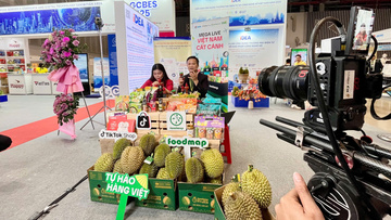 Thương mại điện tử: 'Đường cao tốc' mới cho hàng Việt xuất khẩu