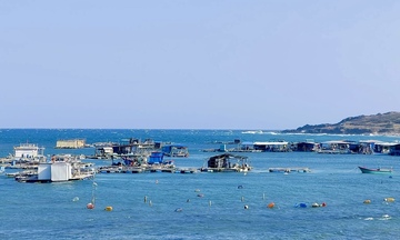 Lâm Đồng tăng cường truy xuất nguồn gốc chống IUU