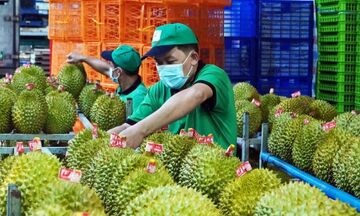 Xuất khẩu rau quả khởi đầu thuận lợi, hướng tới mục tiêu 9 - 10 tỷ USD