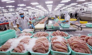Xuất nhập khẩu khởi sắc, đón tín hiệu vui đầu năm 2026