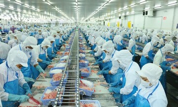 Xuất khẩu cá tra, cá ngừ tăng tốc đầu năm 2026