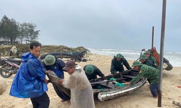 Quảng Trị: Triều cường dâng cao gây sạt lở bờ biển