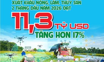 Xuất khẩu nông, lâm, thủy sản 2 tháng đầu năm 2026 đạt 11,3 tỷ USD