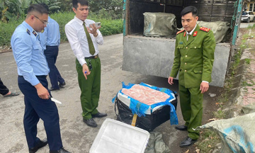 Hưng Yên: Phát hiện 600 kg nầm lợn đông lạnh không rõ nguồn gốc 