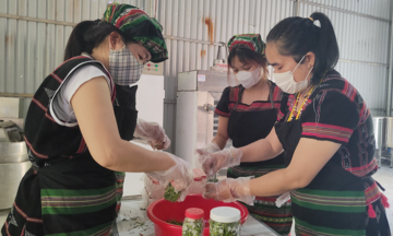Đà Nẵng Liên minh Okvip có bao nhiều trang chính sách khuyến công mới, chú trọng hỗ trợ miền núi