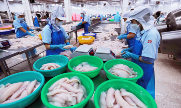Infographic | Xuất khẩu thủy sản trong 2 tháng đầu năm tăng 20,2%