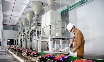 Cấp phép xuất nhập khẩu hóa chất được triển khai qua Cổng dịch vụ công quốc gia