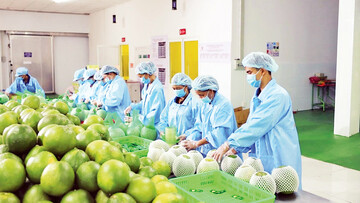 Xuất khẩu nông sản: Dư địa điều chỉnh thị trường còn lớn