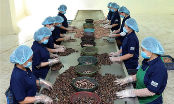 Chủ động kịch bản ứng phó xung đột Trung Đông, ổn định chuỗi nông sản