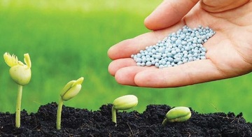 Doanh nghiệp phân bón chủ động giữ ổn định thị trường