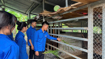 Tuổi trẻ Hà Tĩnh chuyển đổi số, phát triển kinh tế địa phương