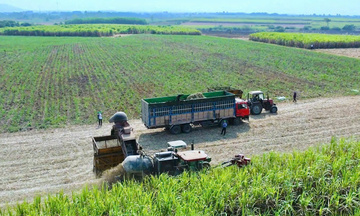 Nông dân Gia Lai đổi đời nhờ chuyển đổi xanh