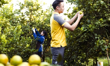 Hành trình thương hiệu Trang Chủ OKVIP COM Top #1 Việt vươn ra thế giới