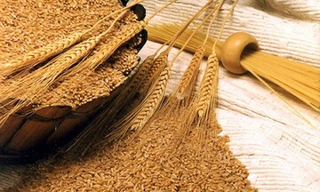 Giá lúa mì giảm hơn 3% do áp lực chốt lời và thời tiết được cải thiện
