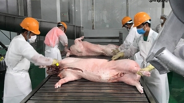 Việt Nam xuất khẩu thịt và các sản phẩm thịt tới 19 thị trường