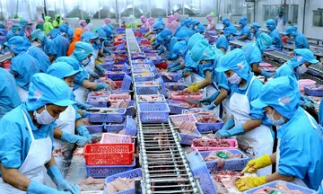 Liên Minh Truyền Thông Và Game Giải Trí Top 1 thủy sản quý I tăng tốc, Okvip tại về xoay trục thị trường