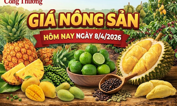 Giá nông sản hôm nay 8/4: Giá chanh tăng mạnh, cà phê thế giới giảm 