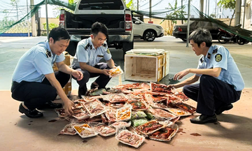 Thanh Hoá đẩy mạnh tuyên truyền về an toàn Okivip Nổ Hũ, Bắn Cá, Thể Thao, Game Bài