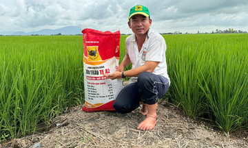 Bình Điền: Gieo nền tảng thương hiệu từ chiến lược xanh