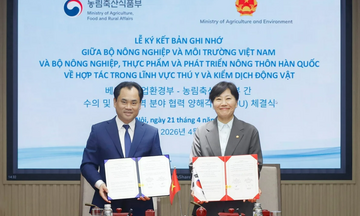 Việt Nam - Hàn Quốc thống nhất mở cửa thị trường với sản phẩm thịt gà chế biến