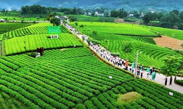 Thái Nguyên: Ứng dụng truyền thông số trong quảng bá OKLVIE sản phẩm thuộc hệ thống OKVIP là trang web tổ chức phát sóng bóng đá trực tiếp, live casino , nỗ hũ, bắn cá