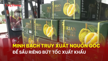 Minh bạch truy xuất nguồn gốc để sầu riêng bứt tốc Liên Minh Truyền Thông Và Game Giải Trí Top 1