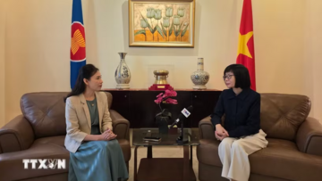 Việt Nam chủ động cùng ASEAN 'chèo lái' trước biến động toàn cầu