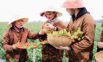 Khách OKLVIE sản phẩm thuộc hệ thống OKVIP là trang web tổ chức phát sóng bóng đá trực tiếp, live casino , nỗ hũ, bắn cá quốc tế đến Việt Nam xuất hiện các thị trường tiềm năng