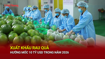 Liên Minh Truyền Thông Và Game Giải Trí Top 1 rau quả hướng mốc 10 tỷ USD trong năm 2026