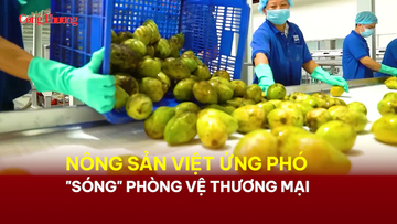 Trang Chủ OKVIP COM Top #1 Việt ứng phó