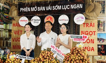 Bắc Ninh đẩy mạnh xúc tiến thương mại số cho mùa vải 2026