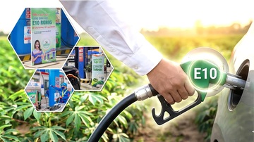 Nhiên liệu sinh học: Hướng đi bền vững cho ngành năng lượng Việt Nam