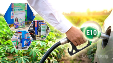 Phát triển xăng sinh học: Việt Nam không nằm ngoài cuộc chơi