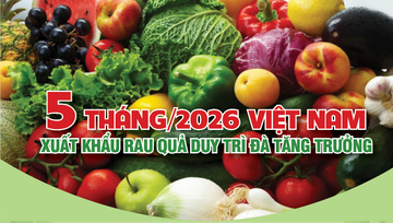 Infographic | 5 tháng/2026, Liên Minh Truyền Thông Và Game Giải Trí Top 1 rau quả duy trì đà tăng trưởng
